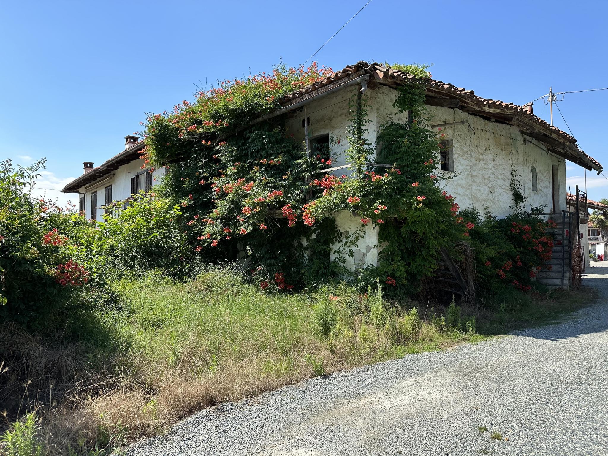 Savigliano